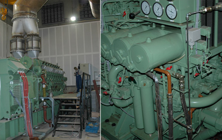 Powerplant Renogen